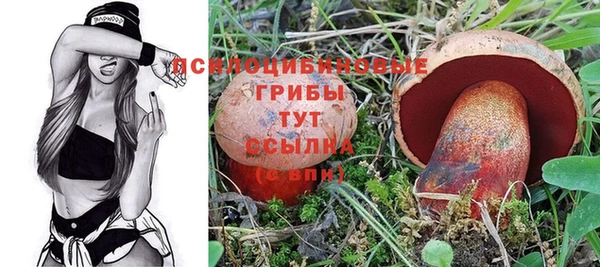 PSILOCYBIN Елизово