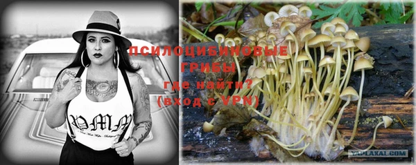 PSILOCYBIN Елизово