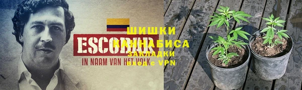 PSILOCYBIN Елизово
