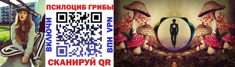 Псилоцибиновые грибы Psilocybe  Купить где  Ставрополь 